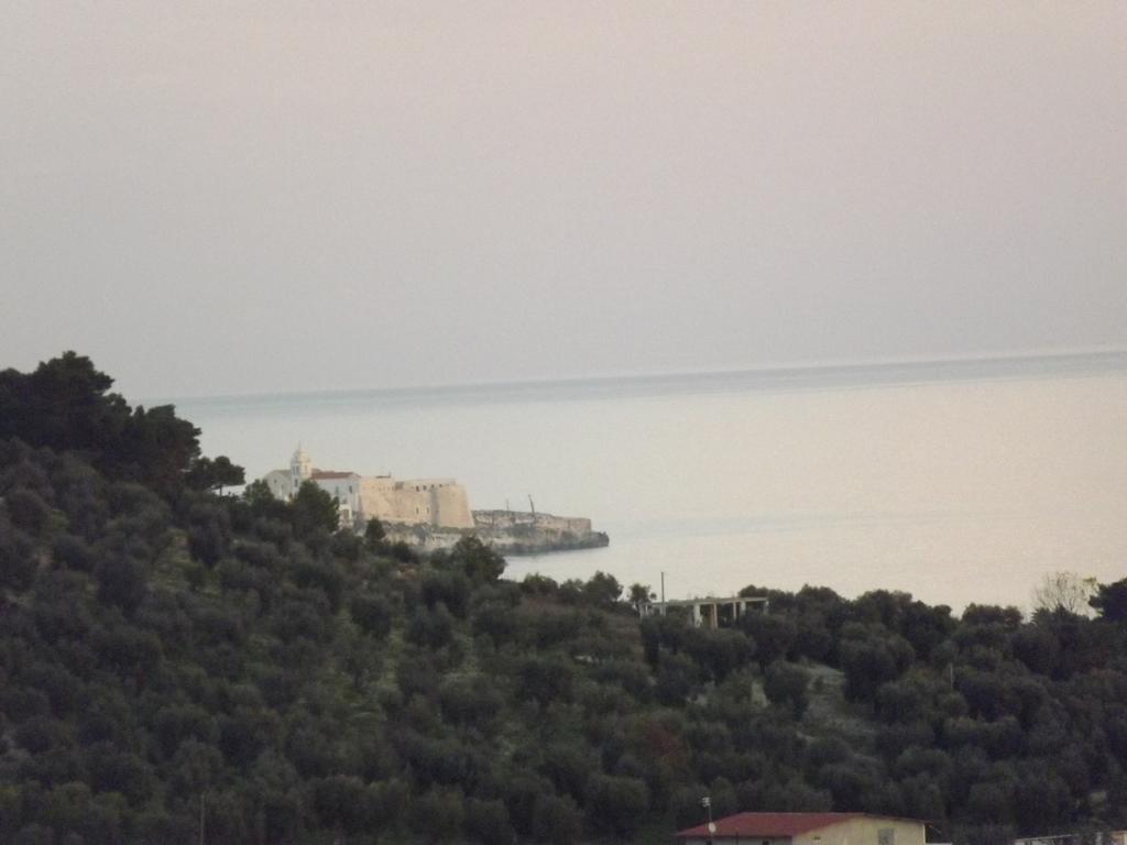 Residenza Collina Dei Pini Aparthotel Vieste Exterior photo