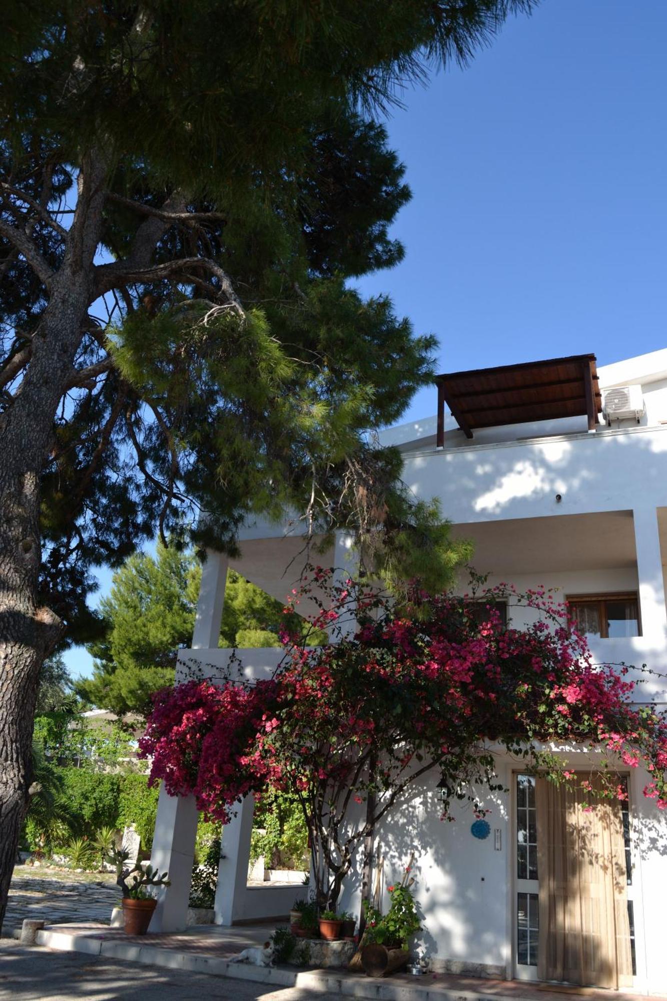 Residenza Collina Dei Pini Aparthotel Vieste Exterior photo